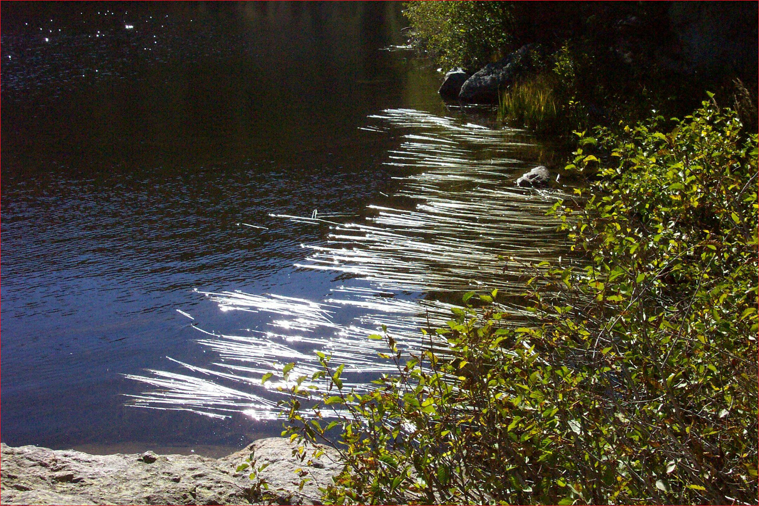 Bear Lake-Quiet spot near edge of Lake